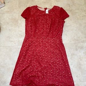 NWT loft lace dress